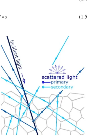 Figure 1.4: Light scattering through a layer of cells; the polygons’ countours are the cells’ membranes