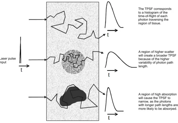 Figure 1.11 illustrates how changes in optical properties of a volume of tissue will affect the resultant TPSF.