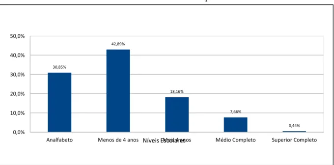 Gráfico 1- Níveis de escolaridade na zona rural do Município. 