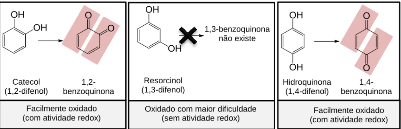 Fig. 2.7: difenóis e produtos da sua oxidação. Os aceitadores de Michael estão destacados a vermelho