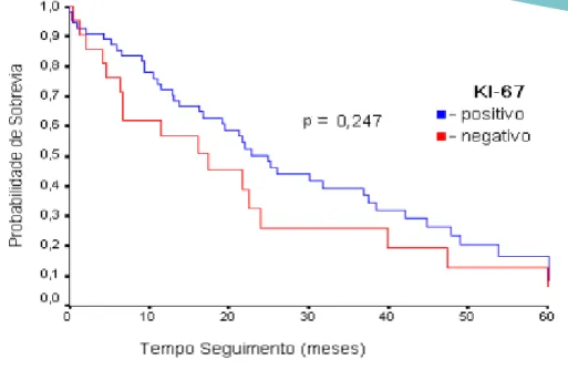 Figura 2. Sobrevida de pacientes com adenocarcinoma gástrico em relação a marcação imuno-histoquímica para Ki-67