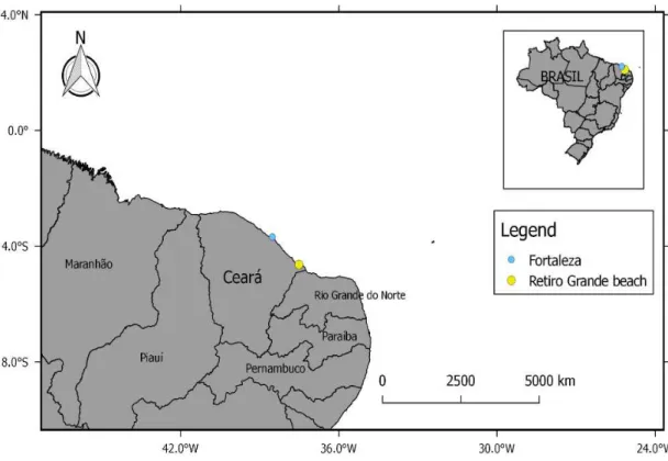 Fig.  1  –  Capture  location  for  the Caribbean  whiptail stingray, Map showing the  capture  area of the  Styracura  schmardae, Retiro Grande Beach (Yellow dot), Icapuí, Ceará, Brazil