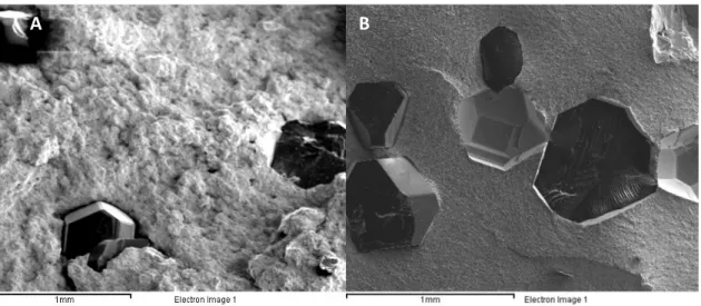 Figure 3.2 Top view (SE) of a brass sample (A) and ferrous alloy sample (B). 