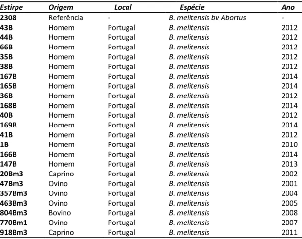 Tabela 2. Estirpes de Brucella utilizadas no estudo dos efetores BAB1. 