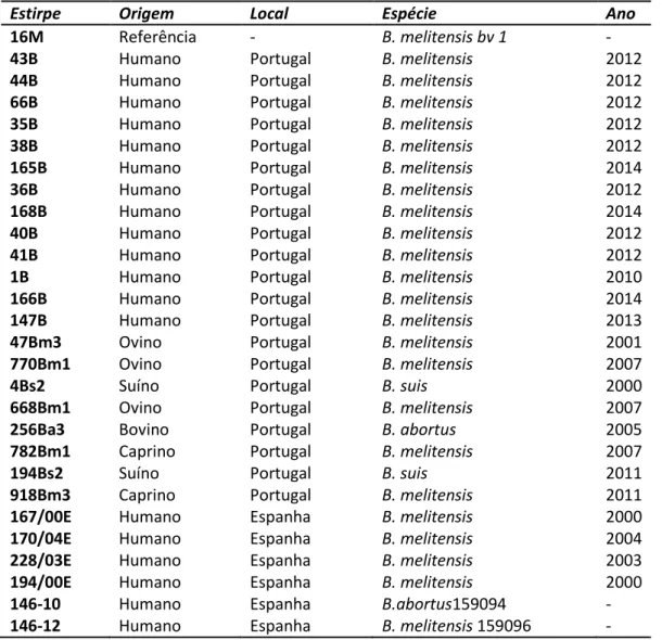 Tabela 3. Estirpes de Brucella utilizadas no ensaio MLVA16. 