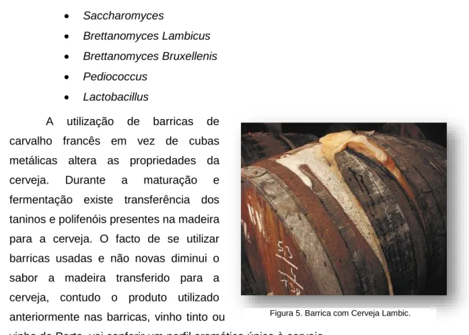 Figura 5. Barrica com Cerveja Lambic. 