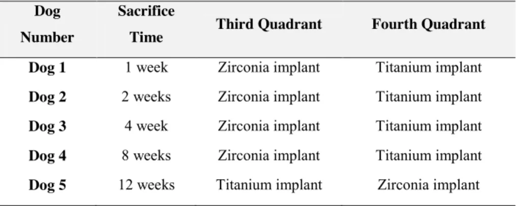 Table 2.3. Summary of the animal and the quadrant where each type of implant  was placed