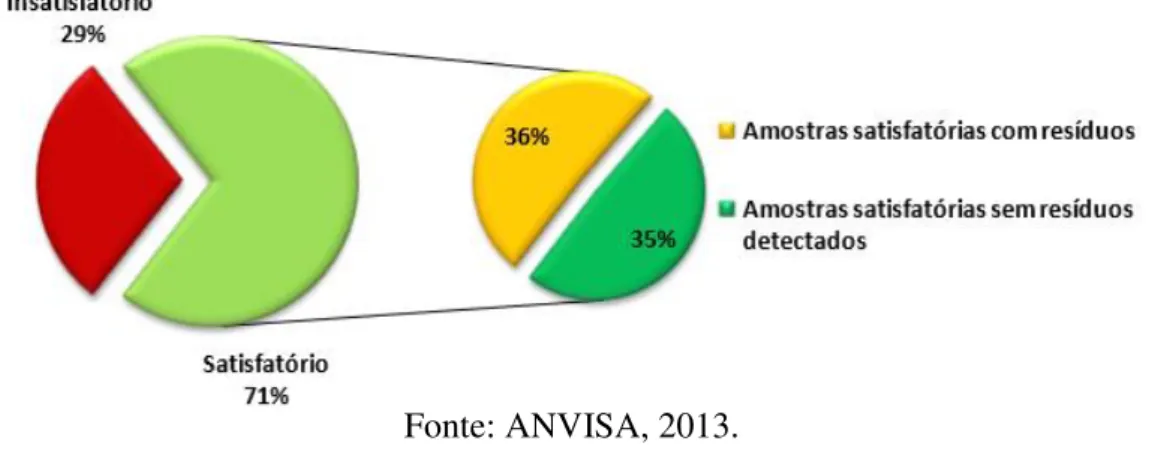 Figura 2 - Distribuição das amostras analisadas segundo a presença ou a  ausência de resíduos de agrotóxicos, PARA, 2012