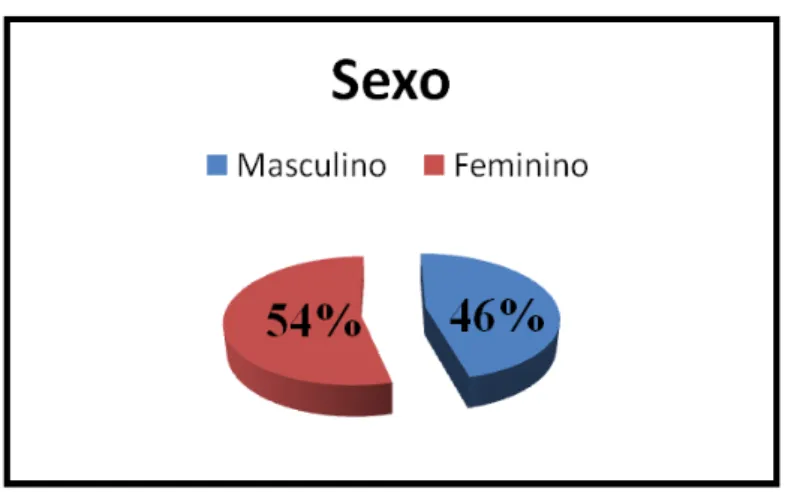Gráfico 1 – Sexo 
