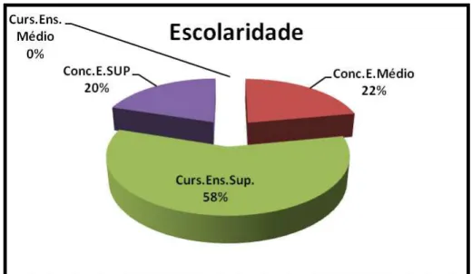 Gráfico 4 – Escolaridade 