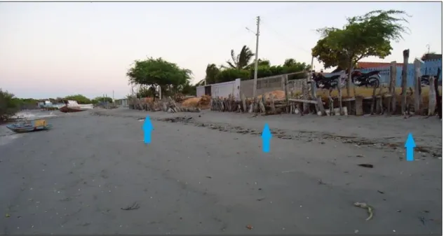 FIGURA  09:  Estruturas  improvisadas  para  contenção  da  erosão  na  Praia  de  Requenguela,  Icapuí,  indicadas  pelas  setas  azuis