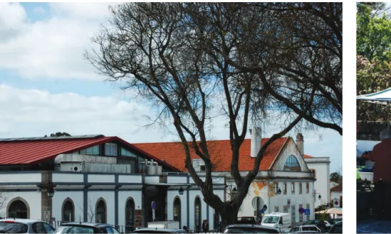 Fig. 3. Mercado 1º de Maio de Évora Fig. 4: Mercado de Évora de verduras y  hortalizas del sábado por la mañana