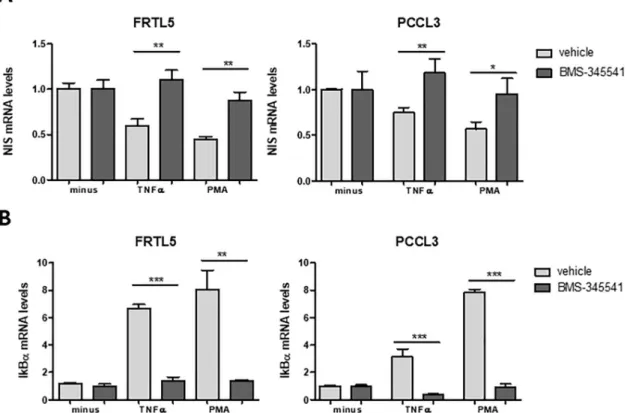 Fig 2. NF-κB impact on TNF-α- and PMA-mediated downregulation of NIS transcriptional expression
