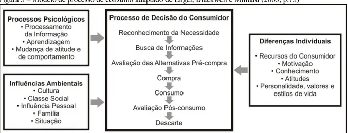 Figura 5 – Modelo de processo de consumo adaptado de Engel, Blackwell e Miniard (2005, p.73) 