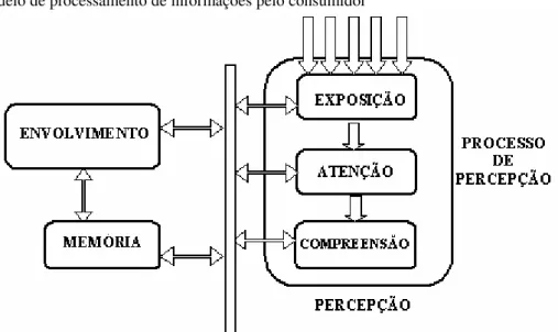 Figura 6 - Modelo de processamento de informações pelo consumidor 