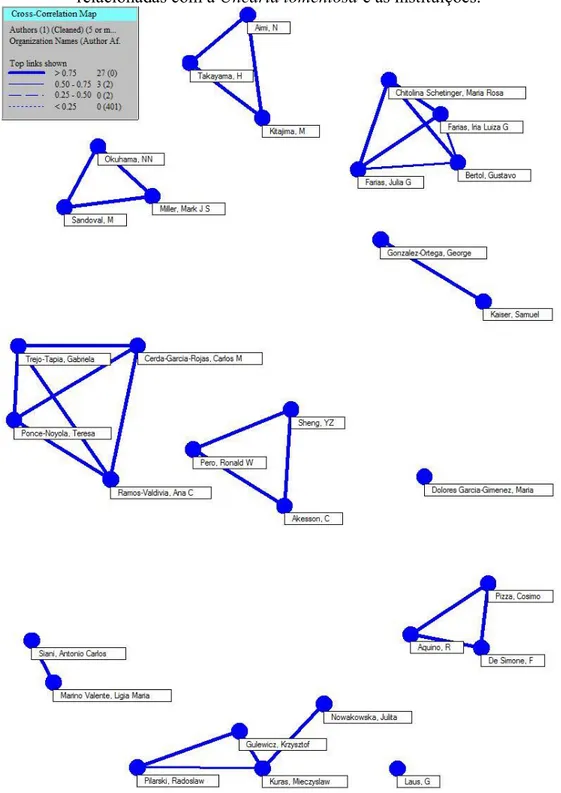 Figura 17 - Mapa de correlação cruzada dos pesquisadores com 5 ou mais publicações  relacionadas com a Uncaria tomentosa e as instituições