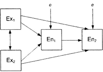 Figura  1.  Esquema  geral  de  path  analysis