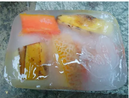 Figura 7. Cubo de gelo com frutas cortadas. 