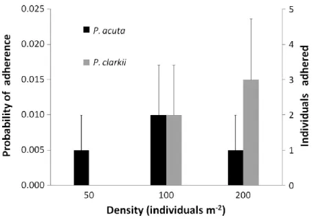 Figure  1.  Probability  of  adherence  and  number  of  individuals  (±  SE)  of  Physella  acuta  and  Procambarus clarkii adhered to one off-road vehicle’s mudguard (number of transport events  per vehicle crossing over the pool) at three different dens
