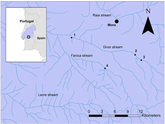 Fig.  1.  Locations  sampled  in  the  Sorraia  River  (Targus  river  basin).  Coordinates  (WGS  1984  Datum) – location 1: 38.90226111 N; −8.260763889 W; location 2: 38.88228889;−8.176708333; 