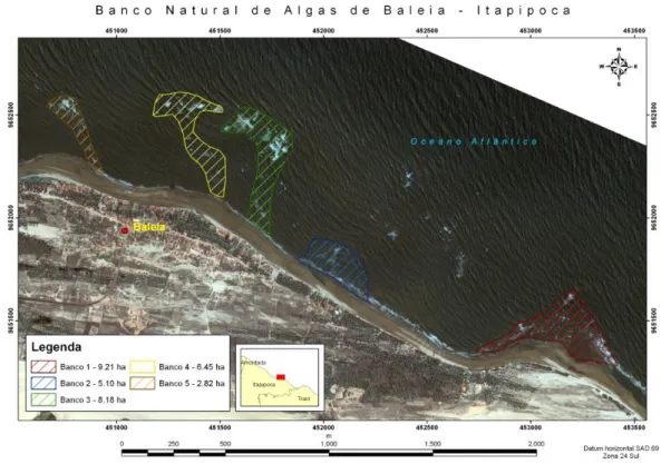 Figura  2.  Formações  areníticas  (formas  listradas)  que  abrigam  bancos  de  algas  da  praia  da  Baleia, Itapipoca, Ceará