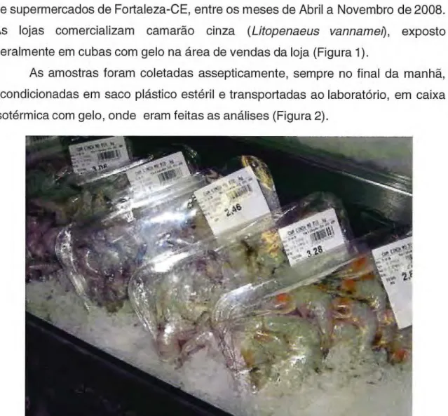 Figura 1 —  Disposição dos camarões  Litopenaeus vannamei  nas gôndolas dos  supermercados em Fortaleza, CE
