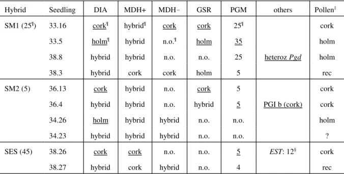 Table 3. Examples of seedling progenies from three hybrids, SM1, SM2 and SM3. The + and – signs on MDH refer to the anode- and cathode-migrating bands, respectively