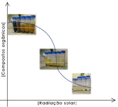 Figura 2.3.2 - Evolução da cor do lixiviado ao longo do processo de foto-tratamento  utilizando a reacção foto-Fenton com radiação solar, nos ensaios preparatórios  