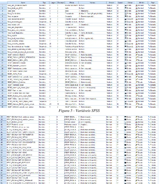 Figura 5 - Variáveis SPSS 