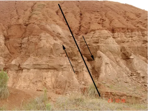 Foto 7: Deslocamento por falha normal das camadas da Formação Capacete (Cretáceo Superior),   no Morro das Mesas, MG-188 a leste da área, evidenciando a existência de atividades pós-cretácicas 