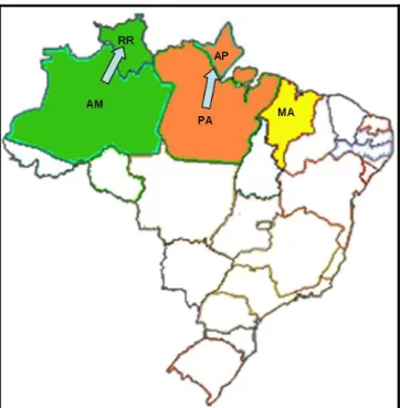Figura 4.4 - Cenário 3: Eliminação dos CDs do Roraima  e Amapá 