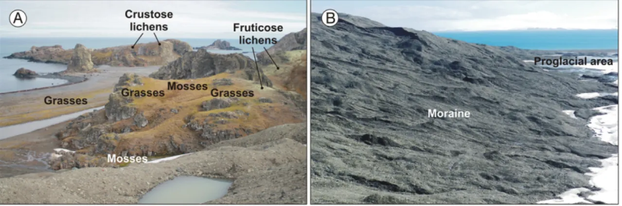 Fig. 2). The abundance of colonies of pinniped such as elephant seals also guarantees a substantial provision of nitrogen and other nutrients (Fig