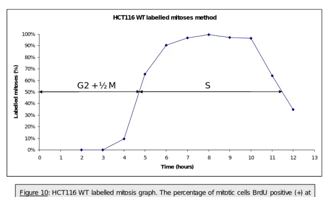 Table 2: Absolute duration of each S phase  sub-stages in HCT116 WT cell  line. For determination of  the  absolute  duration  of  each  S  phase  sub-stage  264  cells  from  the  2h  time  point  were  classified  according to their replication pattern