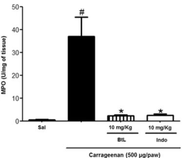 Fig. 5. Effects of BtL on cell migration in the carrageenan-induced peritonitis.