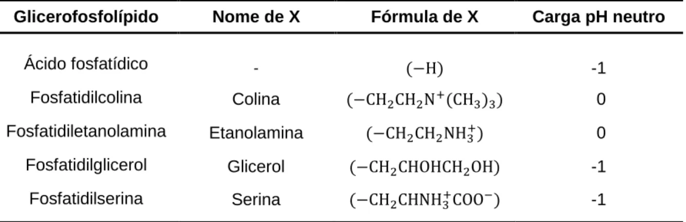 Tabela 3: Exemplos dos glicerofosfolípidos mais comuns, nome e fórmula das respetivas moléculas  orgânicas (X) que constituem os seus grupos polares e carga do lípido a pH neutro [119]