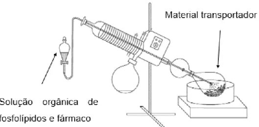 Figura 10: Esquema da montagem para a preparação de prolipossomas segundo o método  FDC [167].