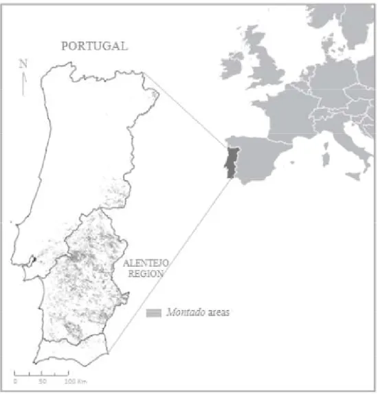 Figure 1. Spatial distribution of agro-forestry systems in Alentejo region, Southern Portugal