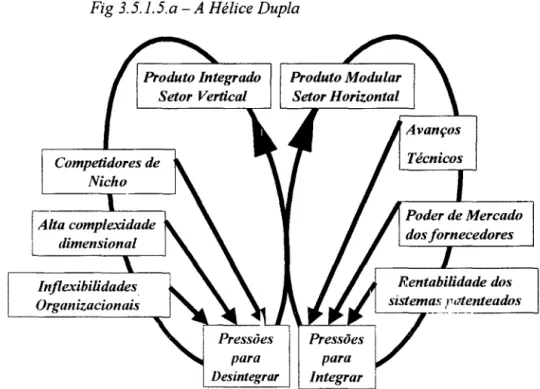Fig 3.5.1.5.a -A Hélice Dupla 