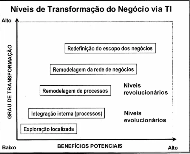 Figura 1 - Os cinco níveis de transformação do negócio através da Tecnologia da Informação