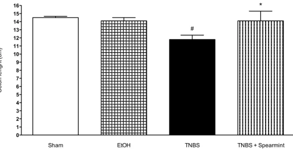 Figure 6. Effect of spearmint extract administration on colon length (cm). # p &lt;0.001 vs Sham; * p &lt;0.001  vs TNBS