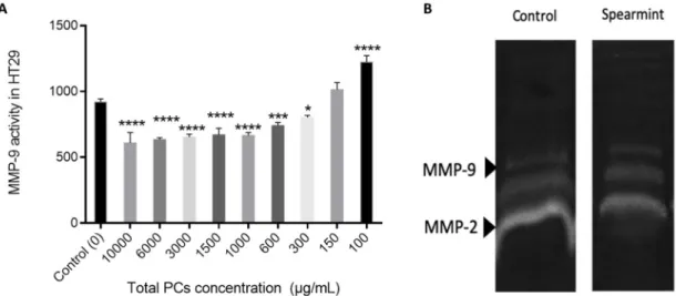 Figure 13. (A) Effect of spearmint phenolic extract on the MMP-9 activity.* p &lt;0.05 vs Control; *** p &lt; 