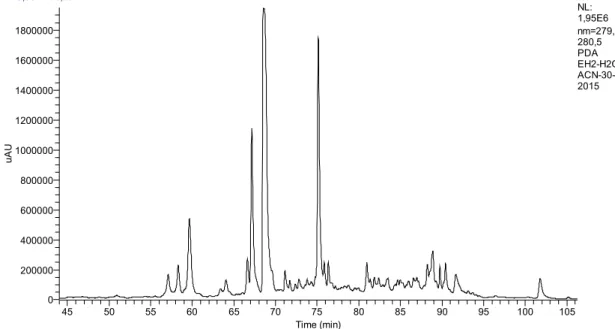 Figure 1. Chromatographic profile of the Mentha spicata L. extract with identification of its phenolic  components classified according to their functional groups