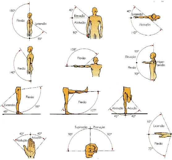 Figura 9 - Movimentos do corpo  (LAGE e DIAS 2002) 