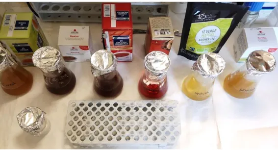 Figure 9 - Tea samples preparation. Above, from left to right: green, bancha, black, rooibos, matcha and sencha  teas and infusion extractions