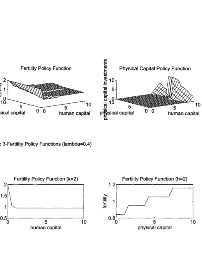 Figure 3-Fertility Policy Functions (lambda=O.4) 