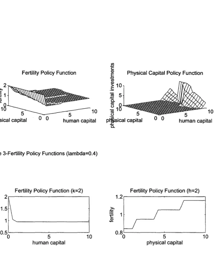 Figure 3-Fertility Policy Functions (lambda=O.4) 