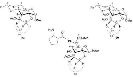 Figure 8 – Comparison of coupling  constants  observed between H-8, H-9a, H-9b for the two  bicyclic units 20 and 23 and the amipurimycin acetate derivative 5
