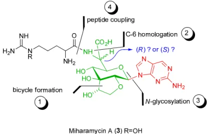 Figure 11 – Key disconnections planned for the synthesis of miharamycins framework. 