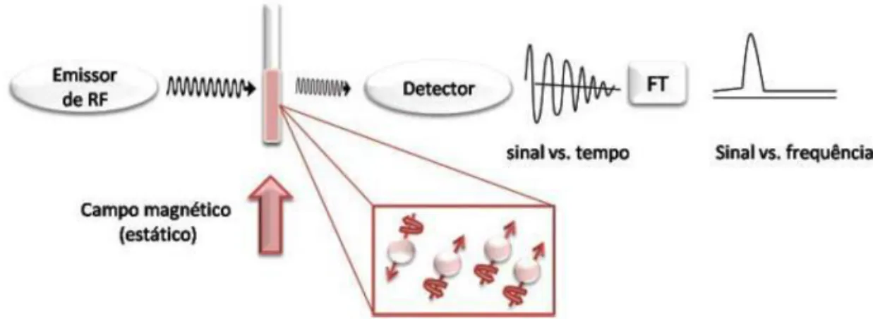 Figura 6. Esquema da análise por ressonância magnética nuclear 