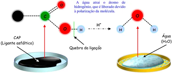 Figura 7 – Estrutura química dos ácidos carboxílicos presentes na superfície do asfalto 